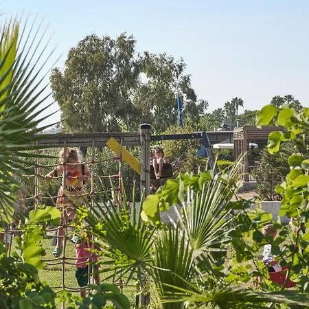 Seaden Corolla Σιντέ