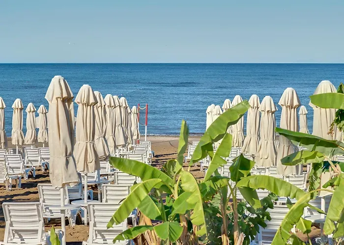 Seaden Corolla Σιντέ