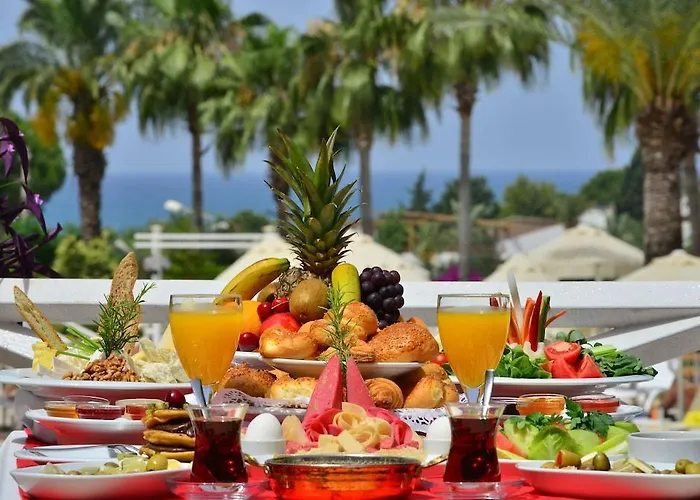 Seaden Corolla 锡德