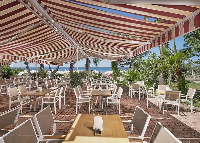 Seaden Corolla 锡德