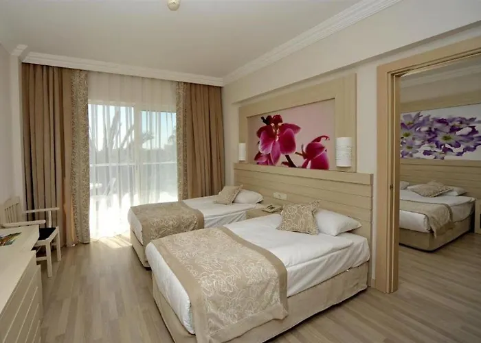 Seaden Corolla 锡德