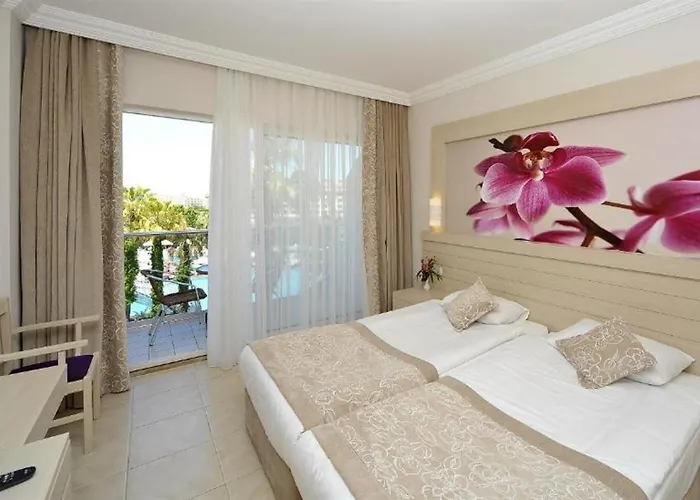 Seaden Corolla 锡德