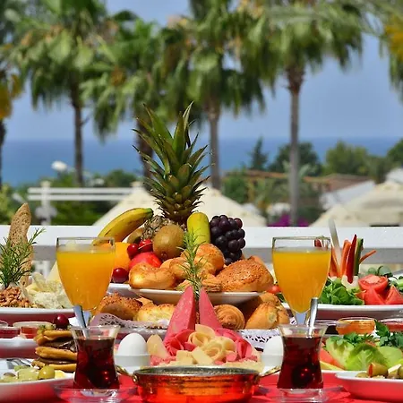 Seaden Corolla 시데