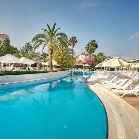 호텔 Seaden Corolla 시데