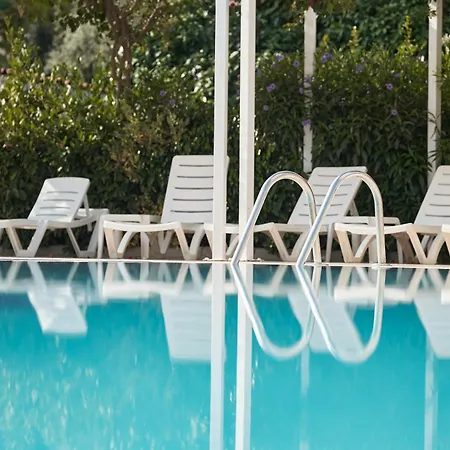 Seaden Corolla 시데